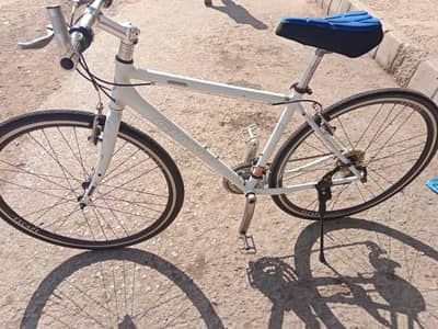 giant cycle for sale