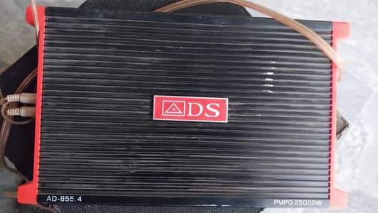 DS Amplifier and Woofer