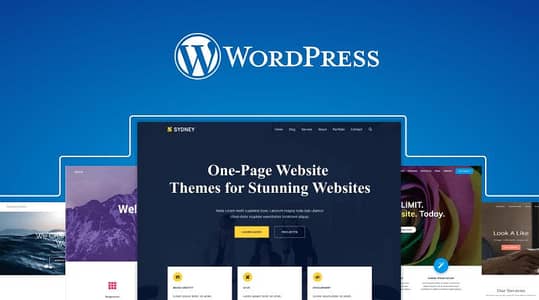 WordPress Website Full Setup | Business & E-commerce