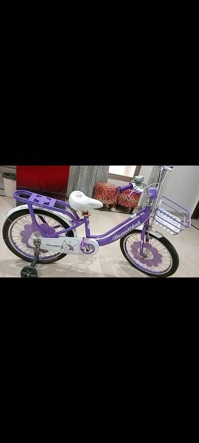 slightly used bicycle