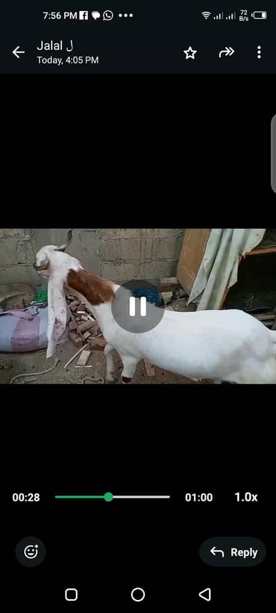 only sencere person context us