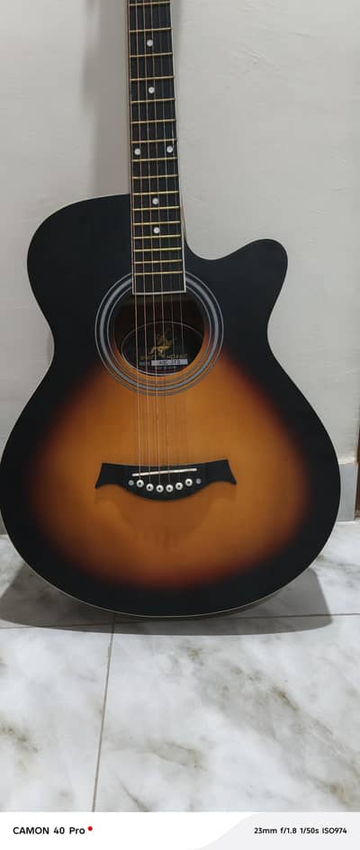 Swift horse acoustic guitar