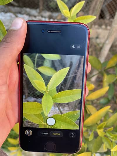 iPhone SE 2022 3 generation