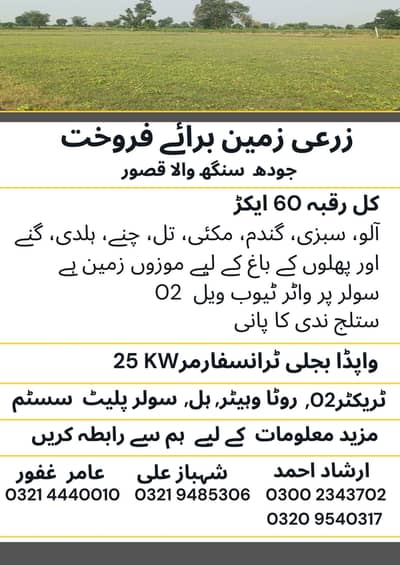 Agriculture Land for Sale Area 60 Acre
