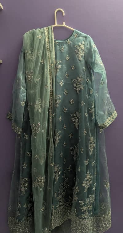 Organza 3 Piece Suit