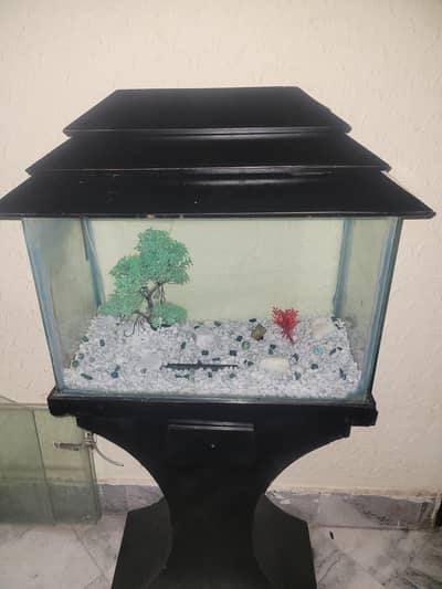 2ft Fish Aquarium