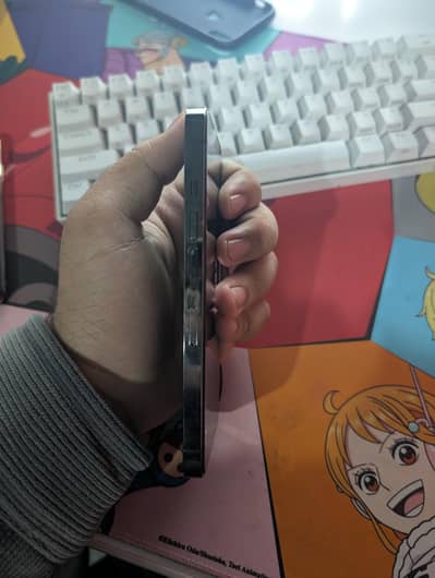 iPhone 13 Pro Non Pta