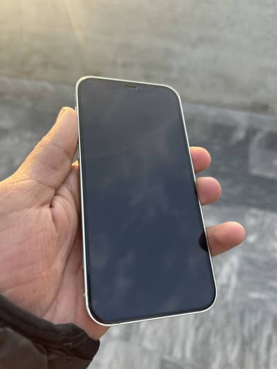 iPhone 12 factory unlock