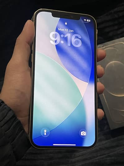 Iphone 12 Pro Max 256gb