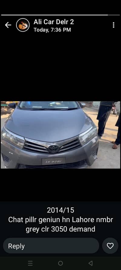 2014/15 model gli chat pillr geniun undr se geniun