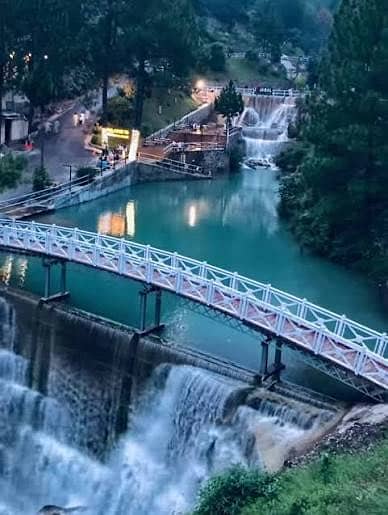 Marketing and sales executives