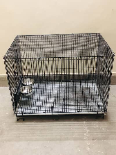 Parrot Cage 10#gali hai