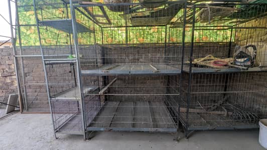Whole setup for sale (cages, crates, boxes, utensils)