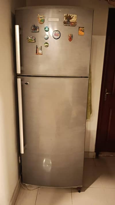 Electrolux fridge / freezer