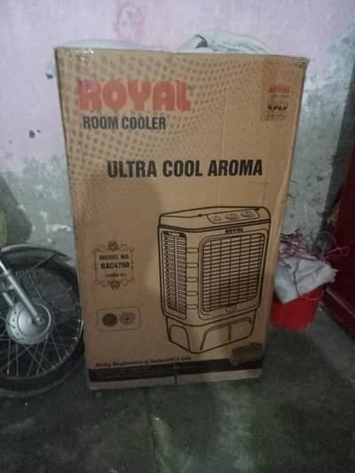 10 by 10 1 week used