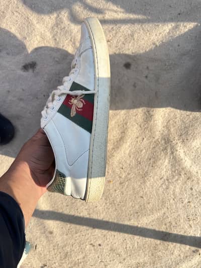 Gucci ace bee original made in Italy