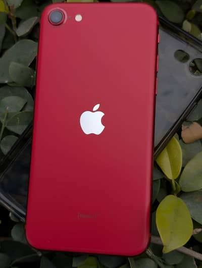 apple ifone se 2020 dual sim official approved 256 gb variant