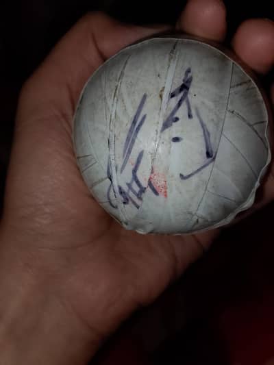 Shahid afridi and Wahab Riaz signature real