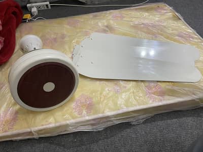 Ceiling fan for sell urgently