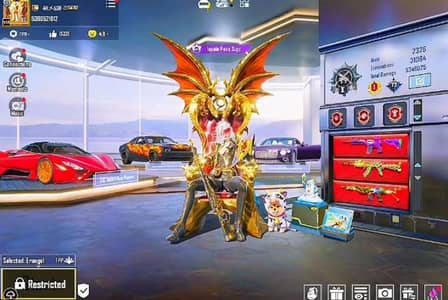 pubg for sale Whatsapp number 03710608911