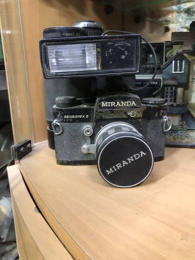 Miranda old cemara