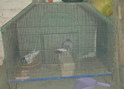cage need and clean look like new
