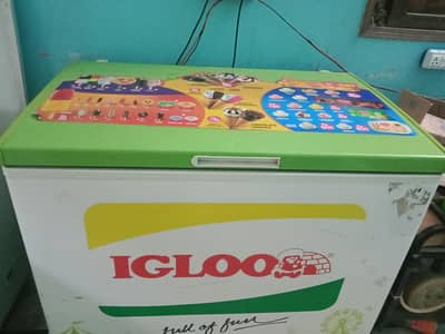 igloo frizer