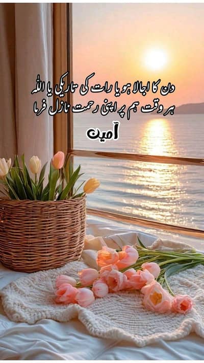 any kind of prooerty contect us