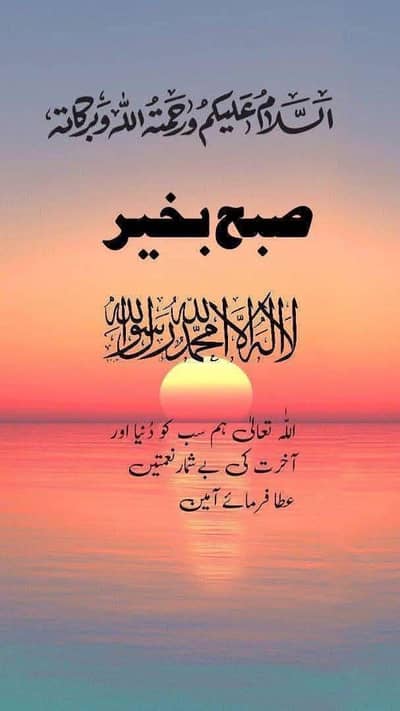 motor car driver  services offering myself