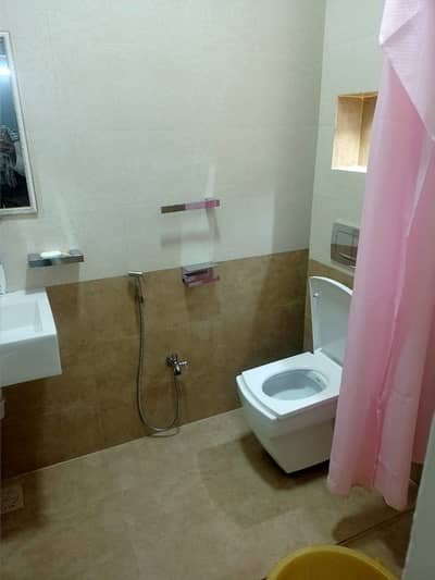 Park Corner Ideal Location Fully Renovated House For Sale