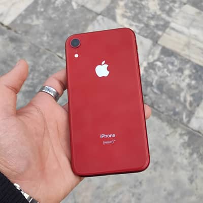 IPHONE XR