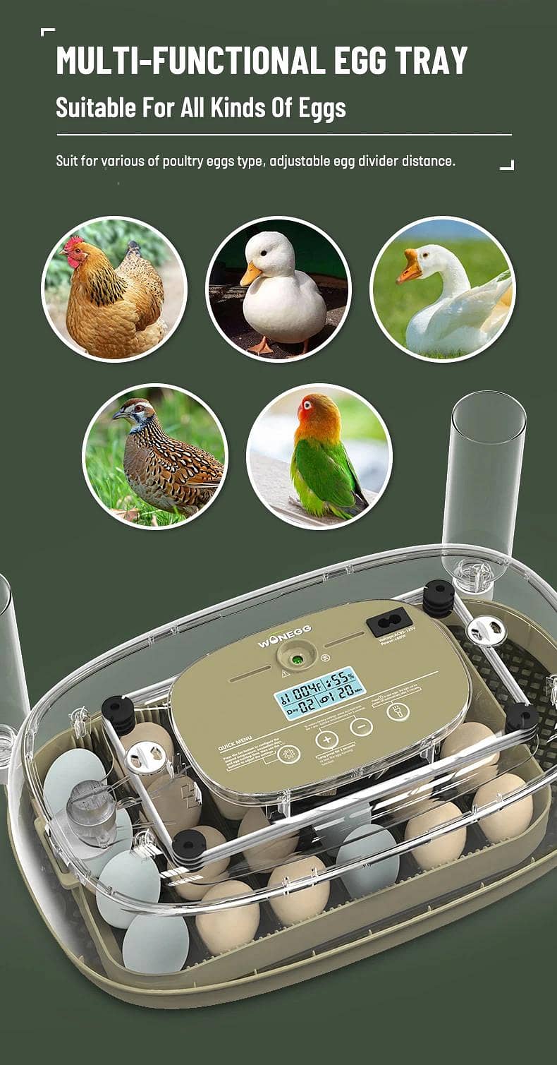 Automatic Egg Incubator | Egg Hatching Machine | Incubator | Brooder 5