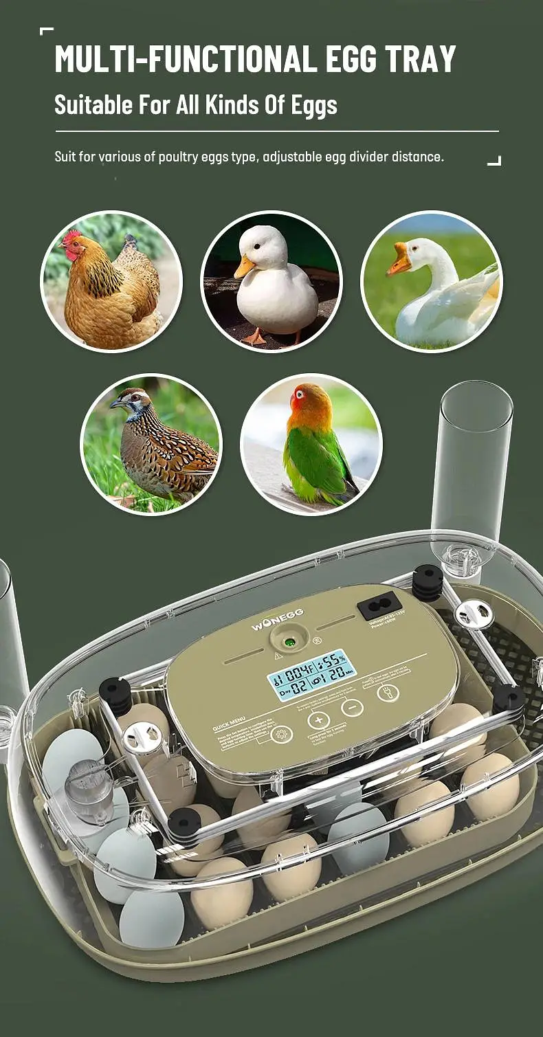 24 Eggs incubator | Hatching machine | automictic incubator | Brooder — photo 6