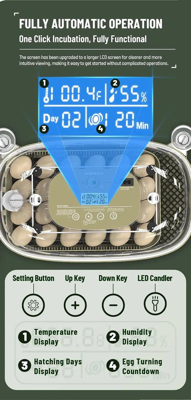 24 Eggs incubator | Hatching machine | automictic incubator | Brooder — photo 10