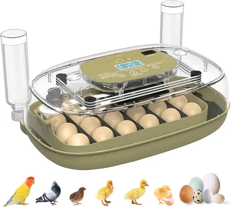 24 Eggs incubator | Hatching machine | automictic incubator | Brooder — photo 3