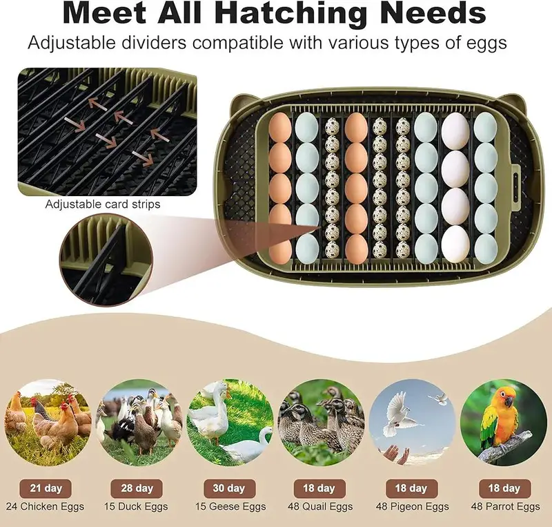 24 Eggs incubator | Hatching machine | automictic incubator | Brooder — photo 5