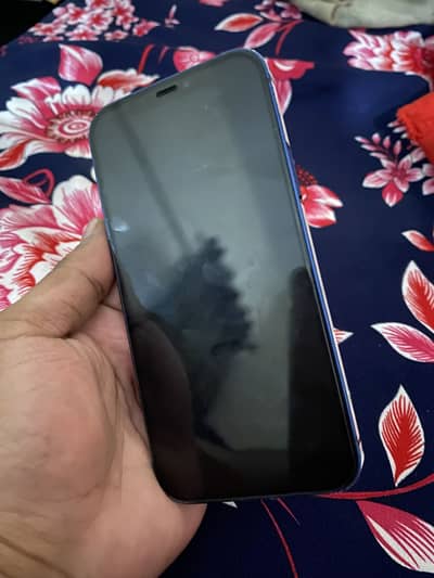 Iphone 12  PTA Approved