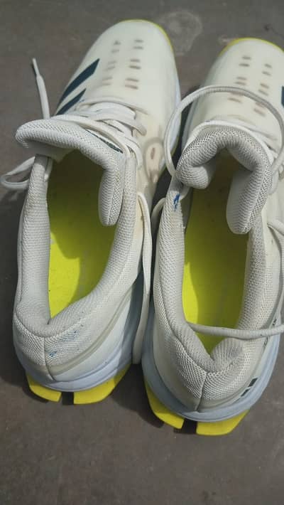 spikes shoes for cricket