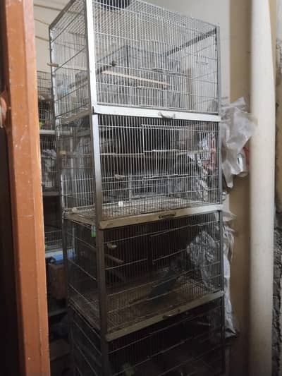 Galvanized Cage and fawn jawa chicks available