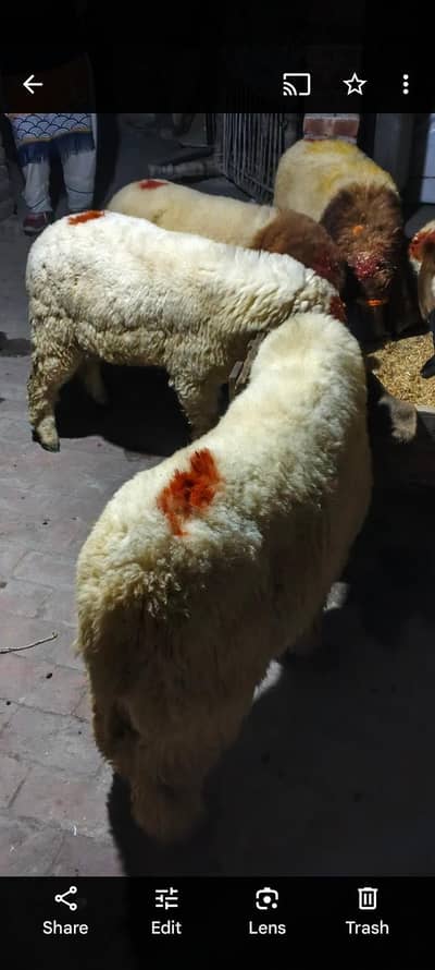 40k to 60k tak available