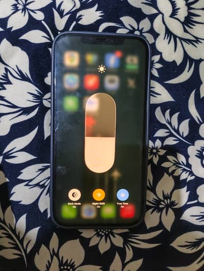 12 pro max LLA Model (USA Variant)