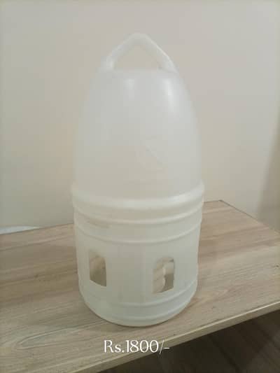 Pigeons & Other Birds