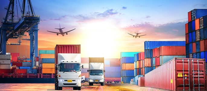 Professional Custom Clearance Support for importers