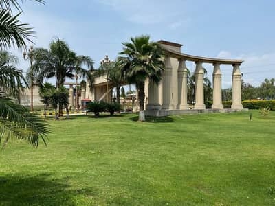 Investors Should rent This Flat Located Ideally In G-15