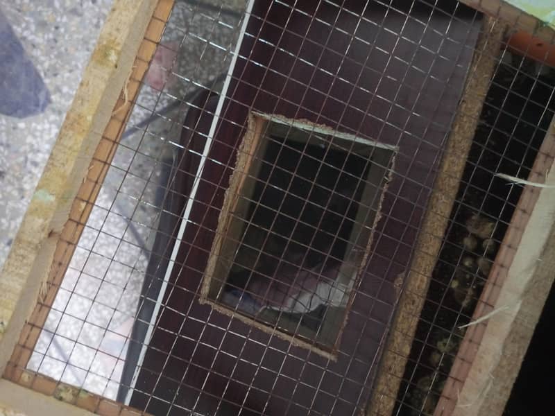 hatching machine available 7