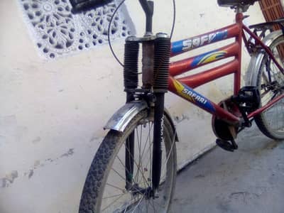 Safari 2025 new condition