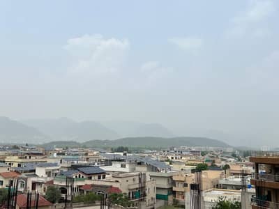 Paint house daily basis luxury Furnished apartment available