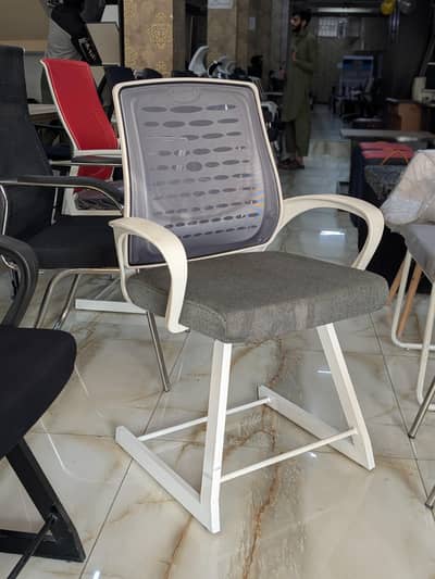 A model visitor grey