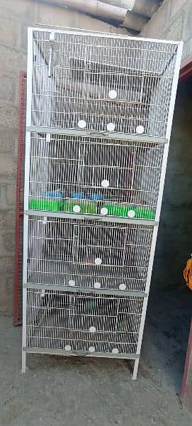 Cage parrots