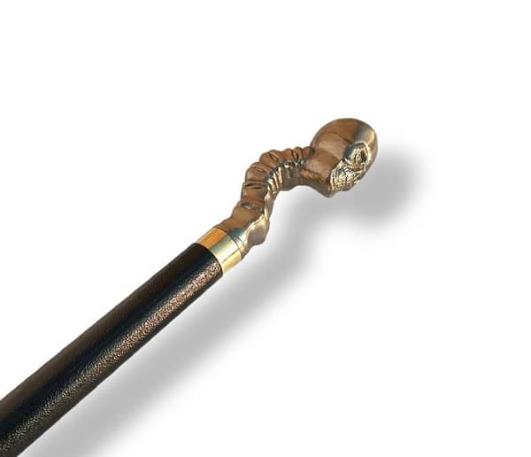 Unique Antique Skull-Shaped Metal Walking Stick